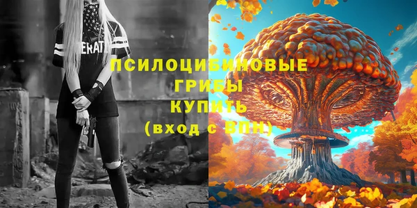 амф Пересвет