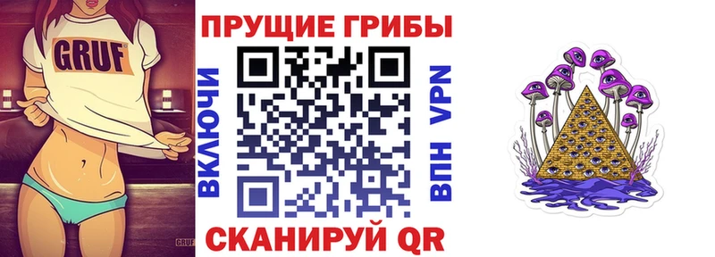 OMG ссылки  Шали  Псилоцибиновые грибы Psilocybe  купить наркотик 