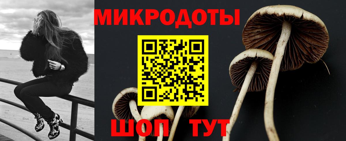 Галлюциногенные грибы MAGIC MUSHROOMS  Вход с VPN  Шали 