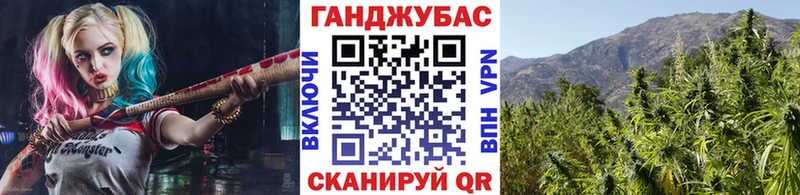 Бошки Шишки SATIVA & INDICA  купить наркотики сайты  Шали 